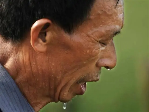细节呈现