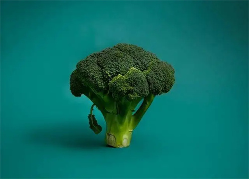 详细介绍