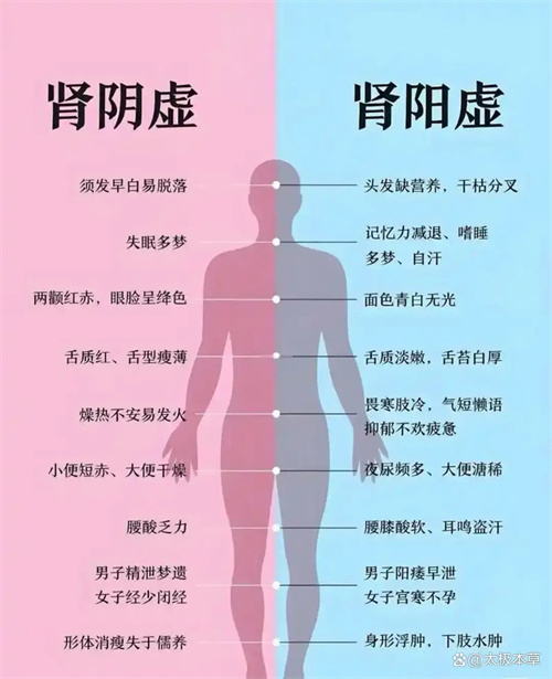 细节介绍
