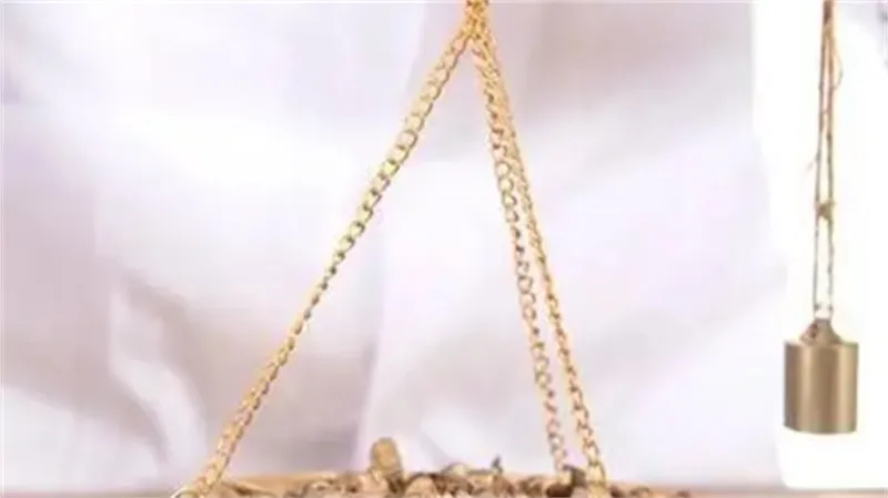 详细说明