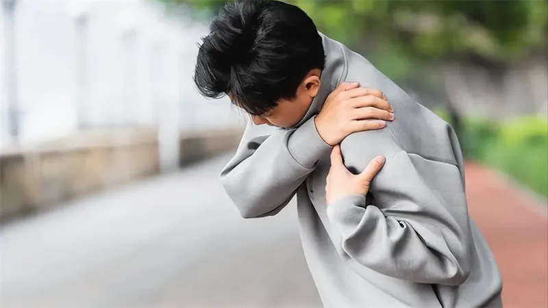 详细介绍