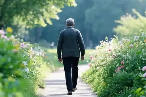 细节介绍