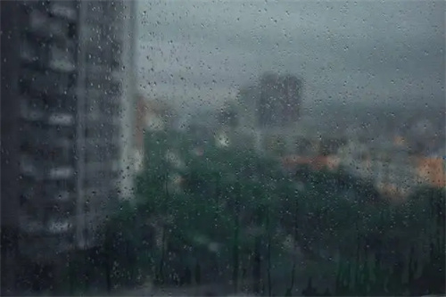 细节描述