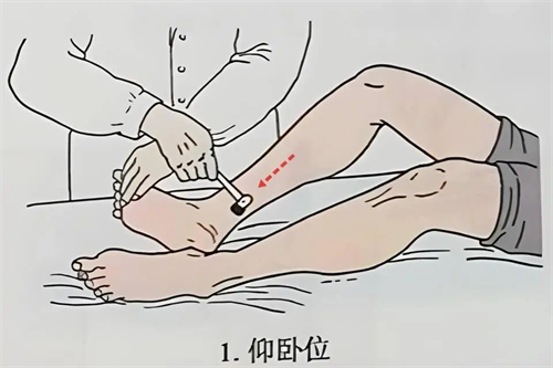 详细介绍