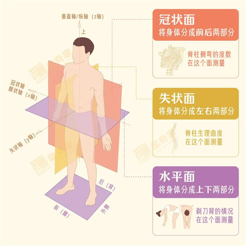 细节说明