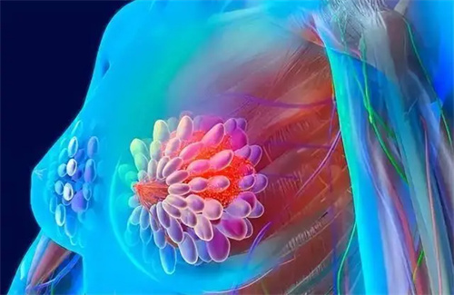 细节呈现