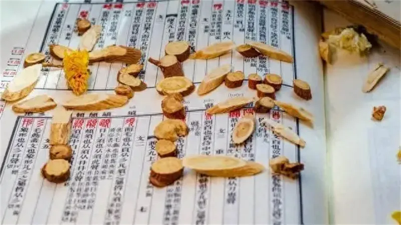 详细介绍