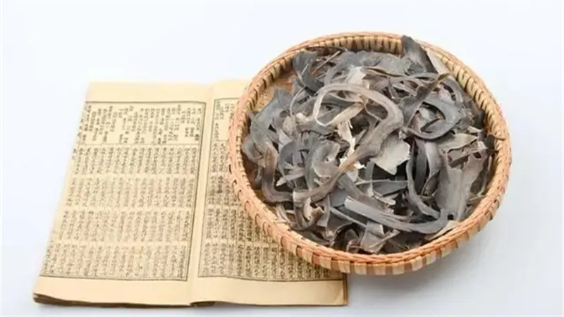 详细介绍