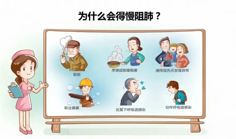 详细介绍