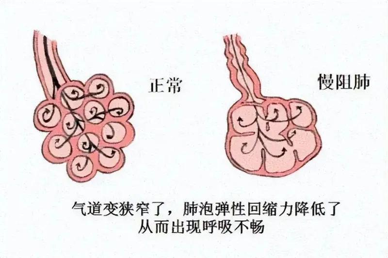 细节描述