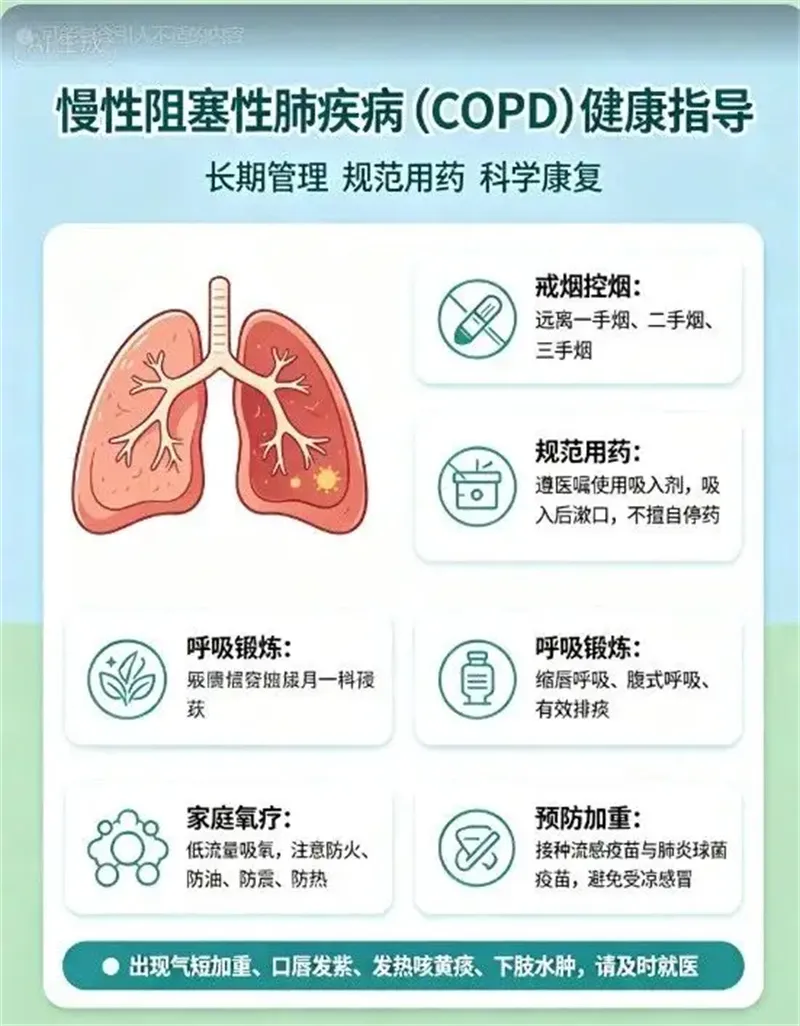 细节介绍